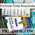 Anaconda Strong Formula 11